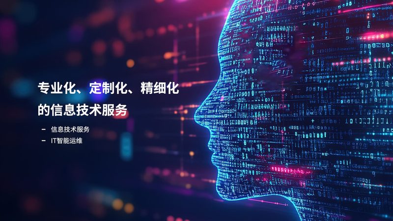 软件信息技术服务收费标准背后的考量因素